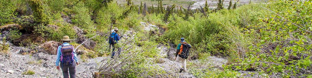 Associate professor Margaret Darrow, left, and state geologists Ronald Daanen and Trent Hubbard take GPS readings from a number of pre-installed stations as they hike down one of a series of frozen debris lobes which have appeared along hillsides in the Dietrich River valley in the southern Brooks Range, which could threaten the highway and the nearby trans-Alaska pipeline. 51 photo by Todd Paris